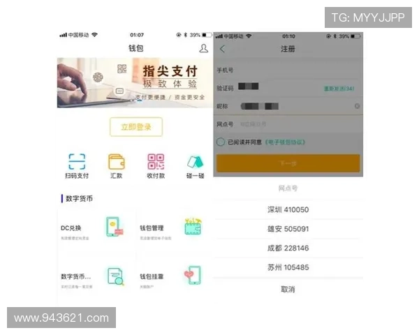 196体育app的支付方式：如何安全快捷地充值