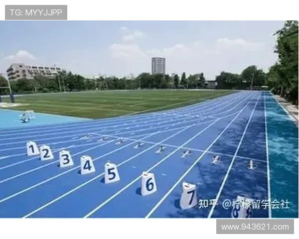 i米体育在青少年体育教育中的应用